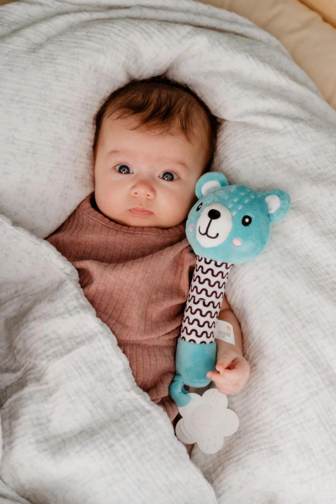 Medvídek babyted pískátko/kousátko medvěd plyš 25cm na kartě v sáčku 0m+
