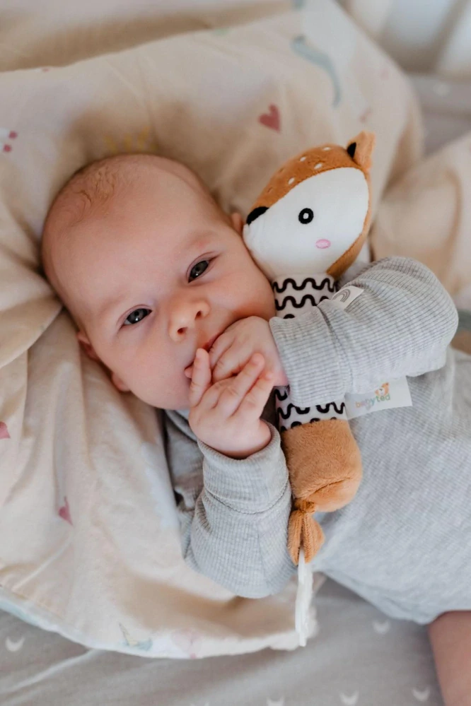 Srneček babyted Pískátko/kousátko plyš 25cm na kartě v sáčku 0m+