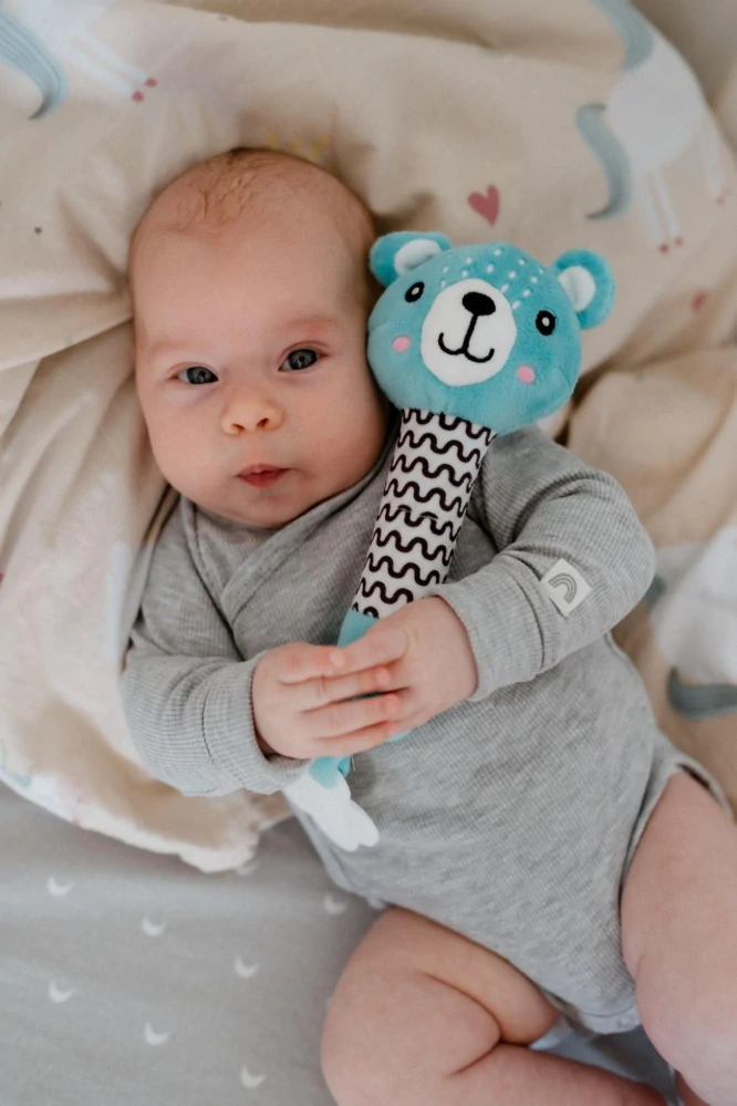 Medvídek babyted pískátko/kousátko medvěd plyš 25cm na kartě v sáčku 0m+
