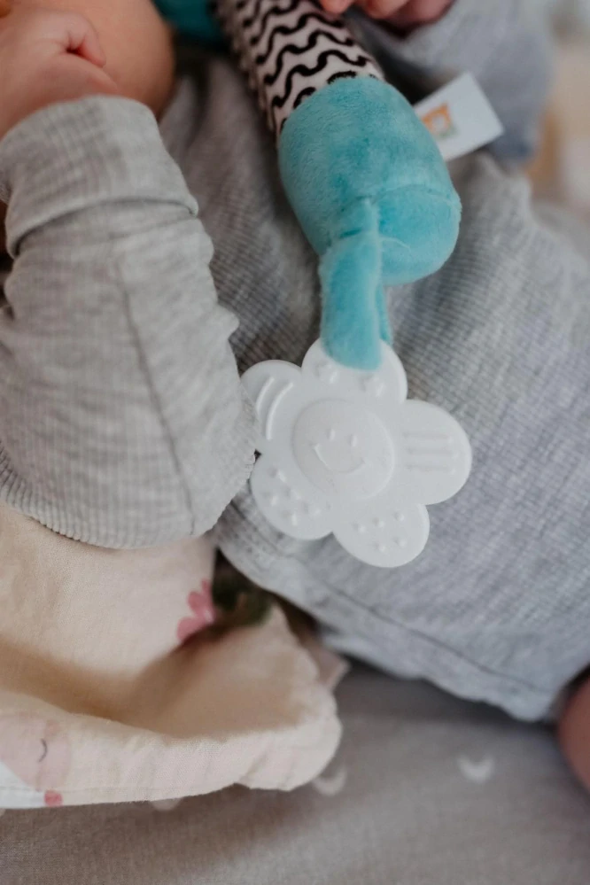 Medvídek babyted pískátko/kousátko medvěd plyš 25cm na kartě v sáčku 0m+